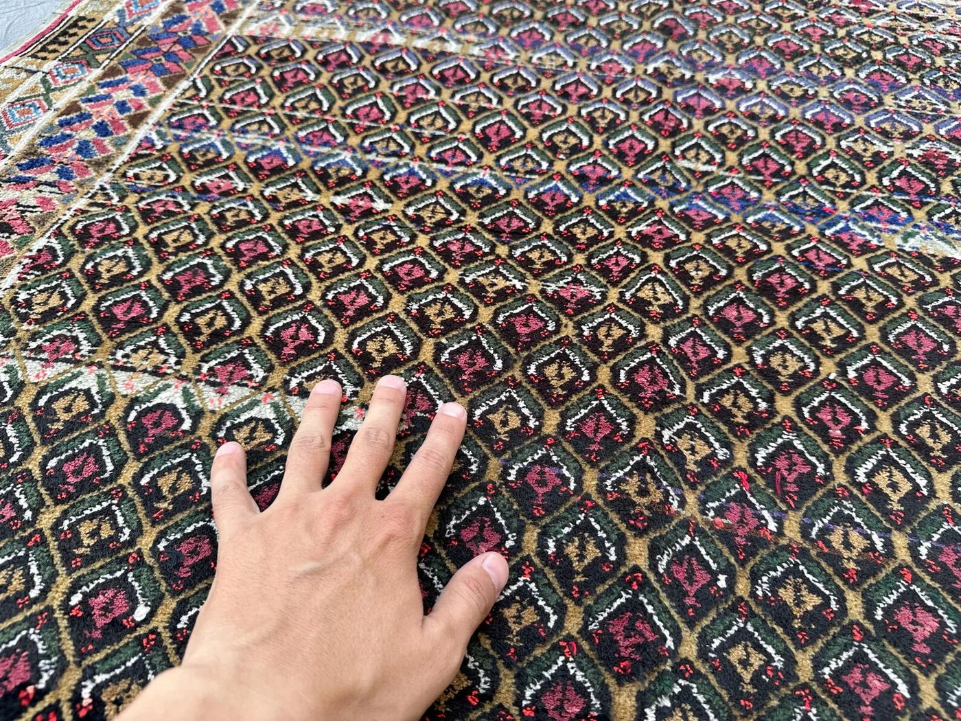 View 7