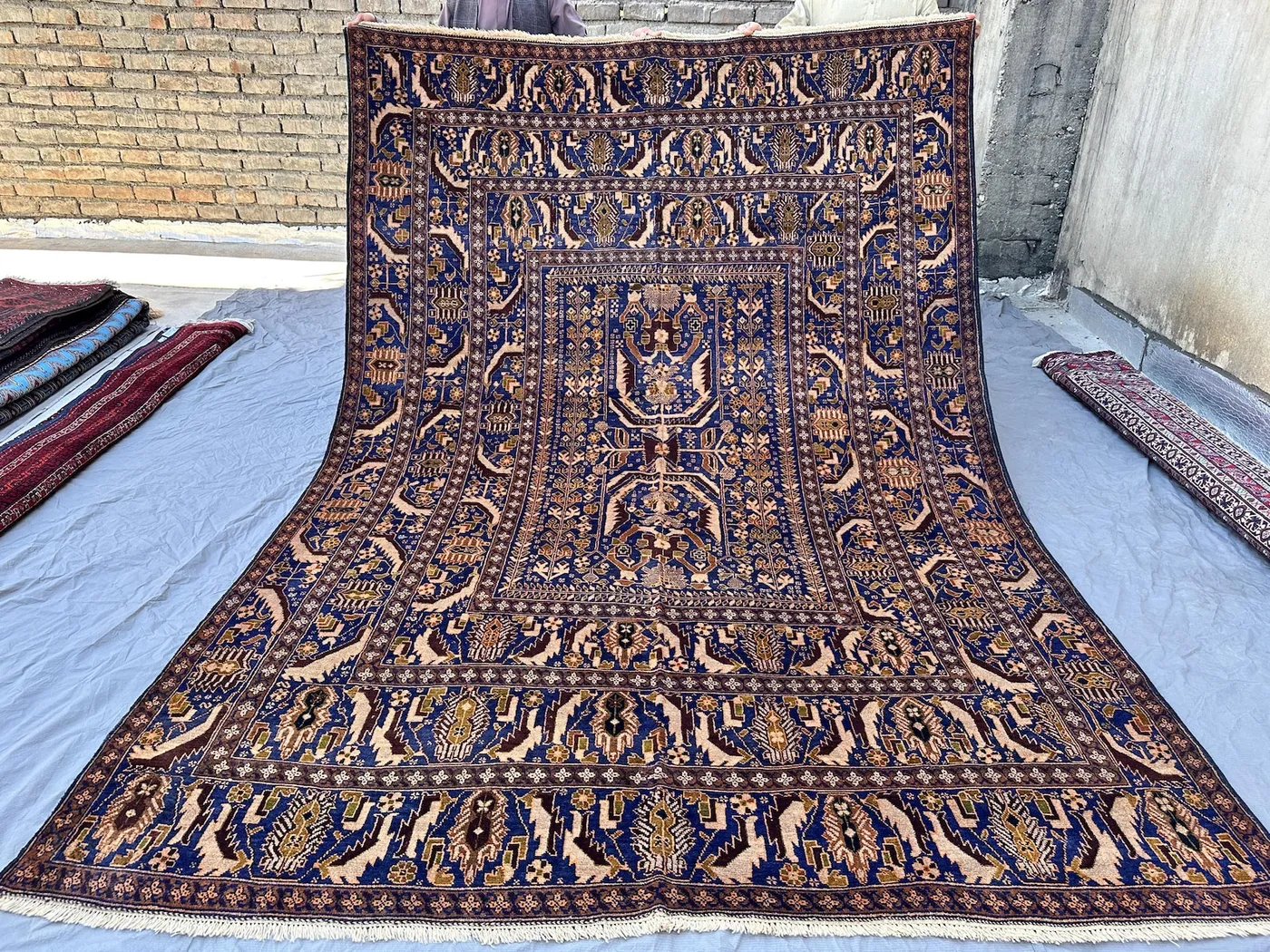 Zakani Navy Blue Afghan Baloch Pictorial Rug 10x6, Old Hand-Knotted Wool Carpet, Tribal Bird Motif Garden Design, Vintage Living Room Rug