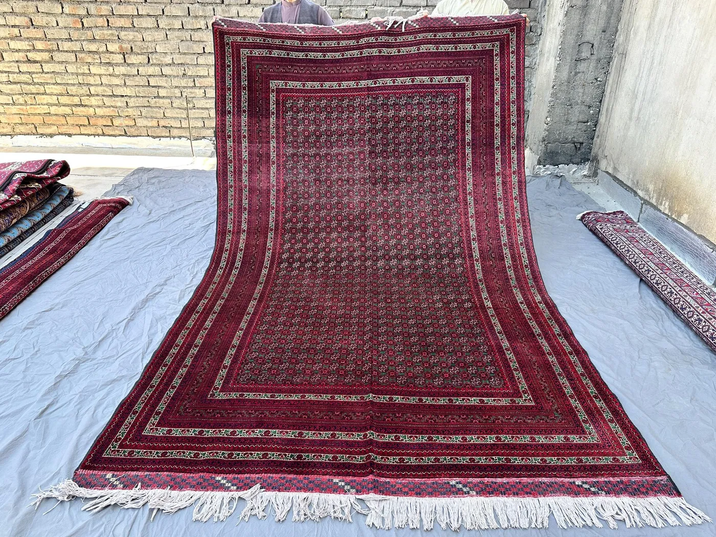10x6 Persian-Style Herati Design Rug | Hand-Knotted Afghan Wool | Red & Green Fish-Pattern Carpet