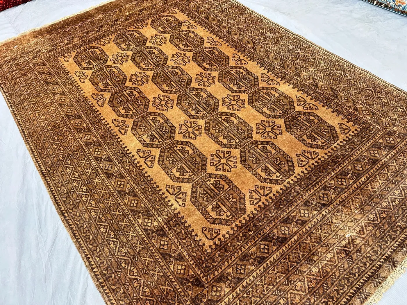 1960s Antique Terracotta Bokhara Wool Rug, 6'7" x 9'7" Filpa Elephtan Foot Desgin Area Living Room Rug
