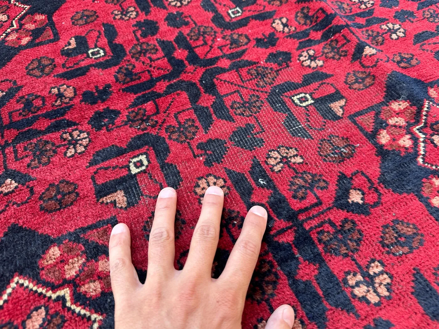 View 5