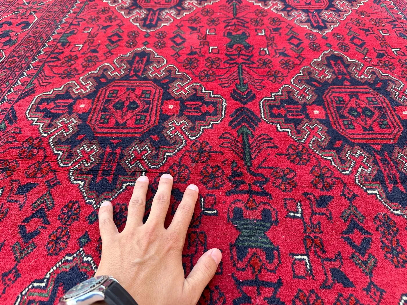 View 8