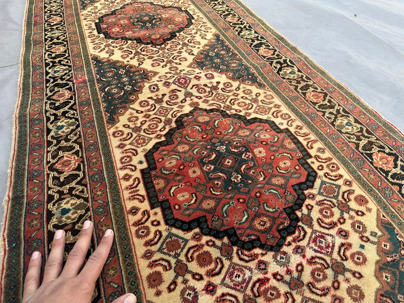 View 8