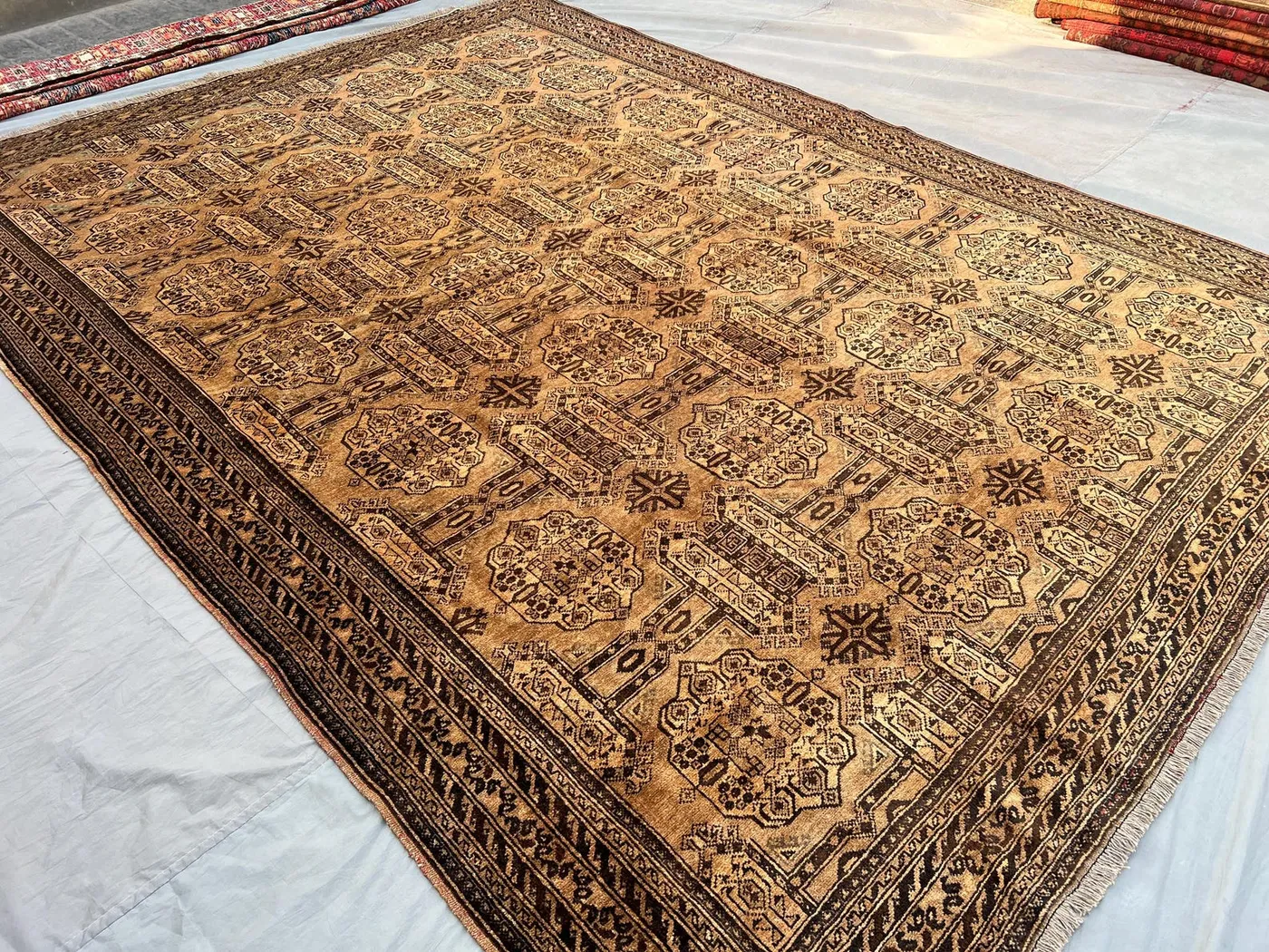 8x11 Terracotta Faded Rug Turkmen Ersari Tribal Rug | Hand Knotted Wool Geometric Pattern | Afghan Handmade Oriental Rug Living Room Carpet