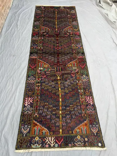 3 x 10 ft Afghan Hand-Knotted Vintage Pictorial Runner - Rare Soft Pile One-of-a-Kind Balochi Design, Wool Tri