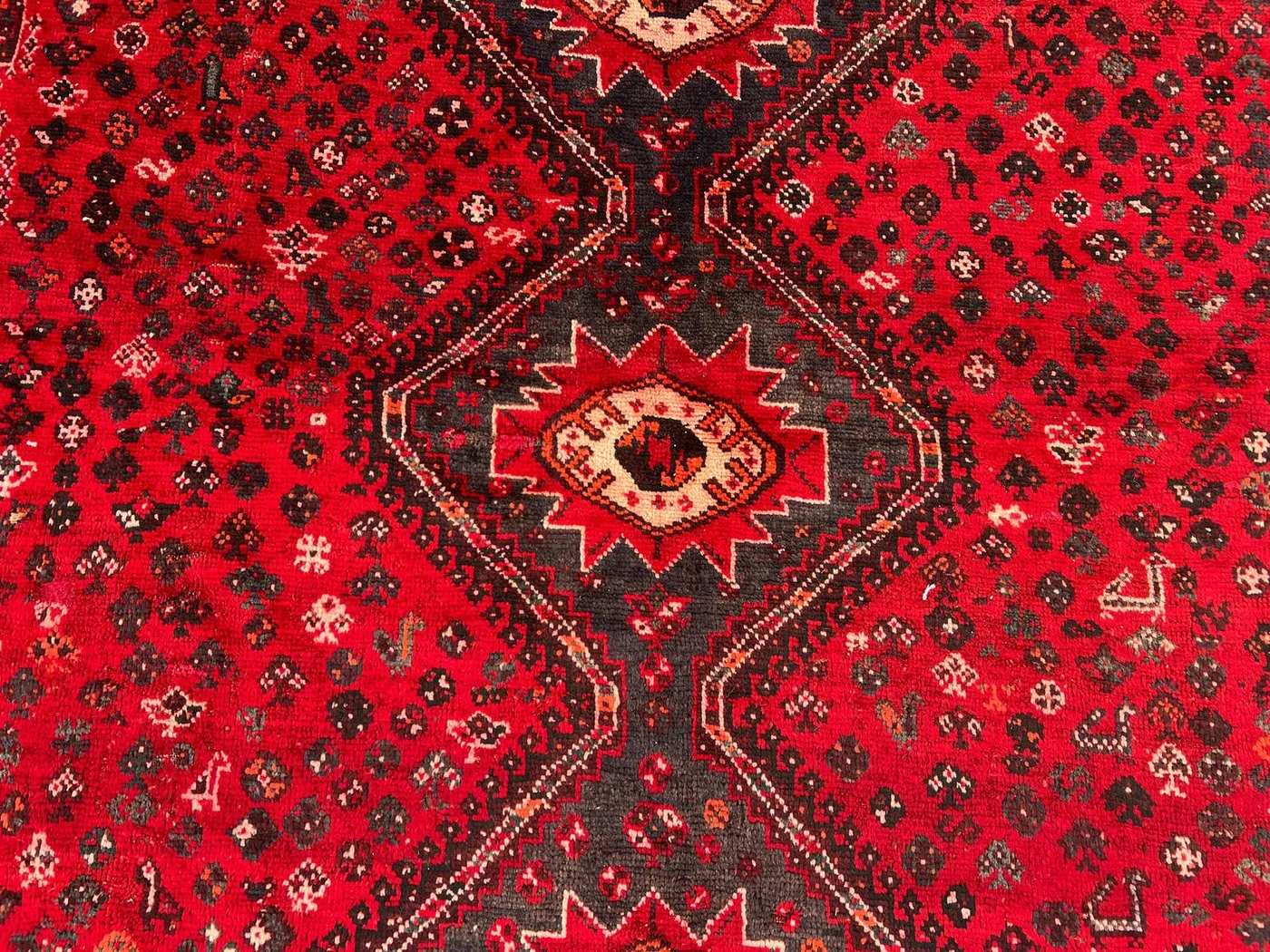 View 9