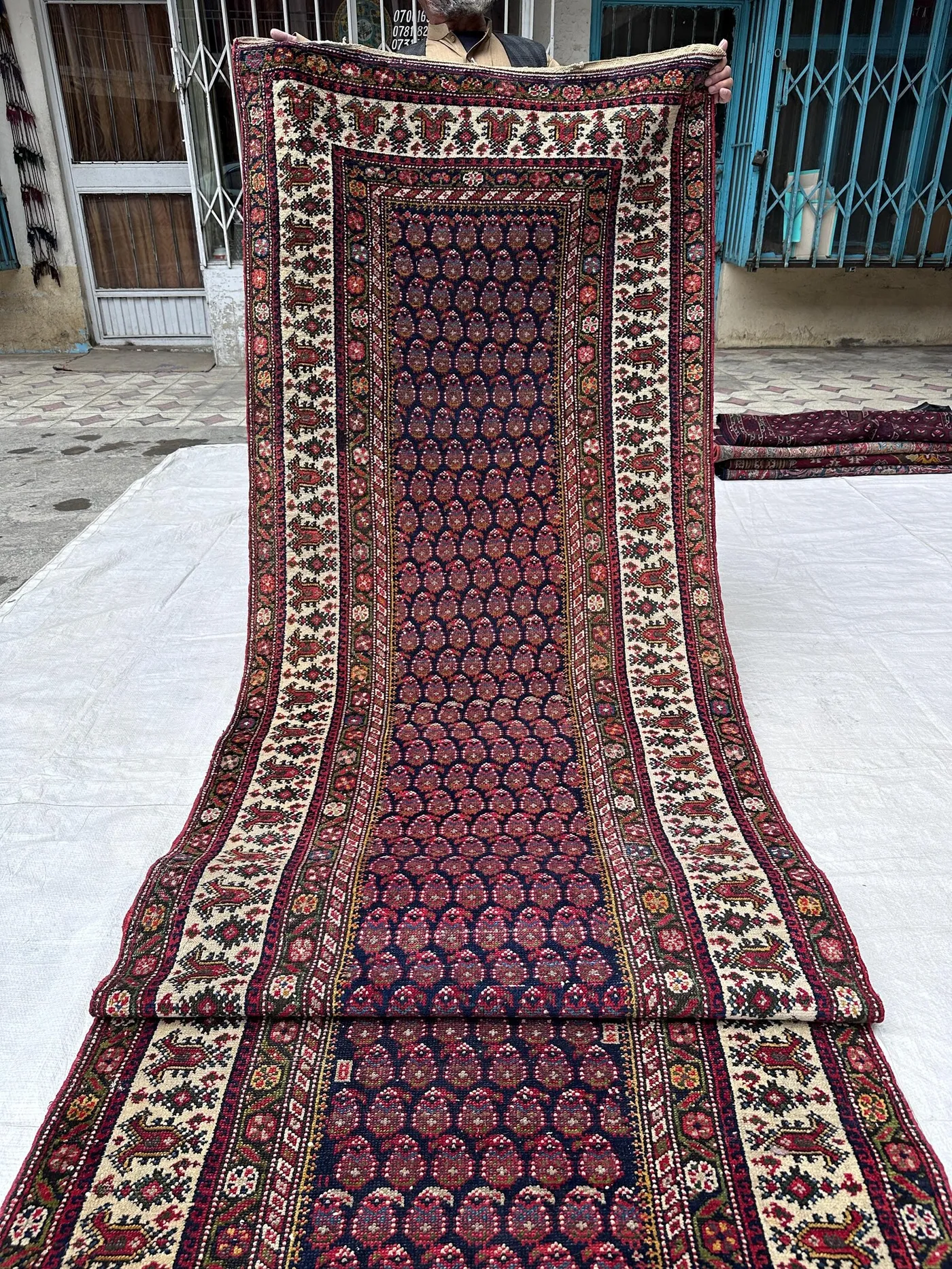 View 8