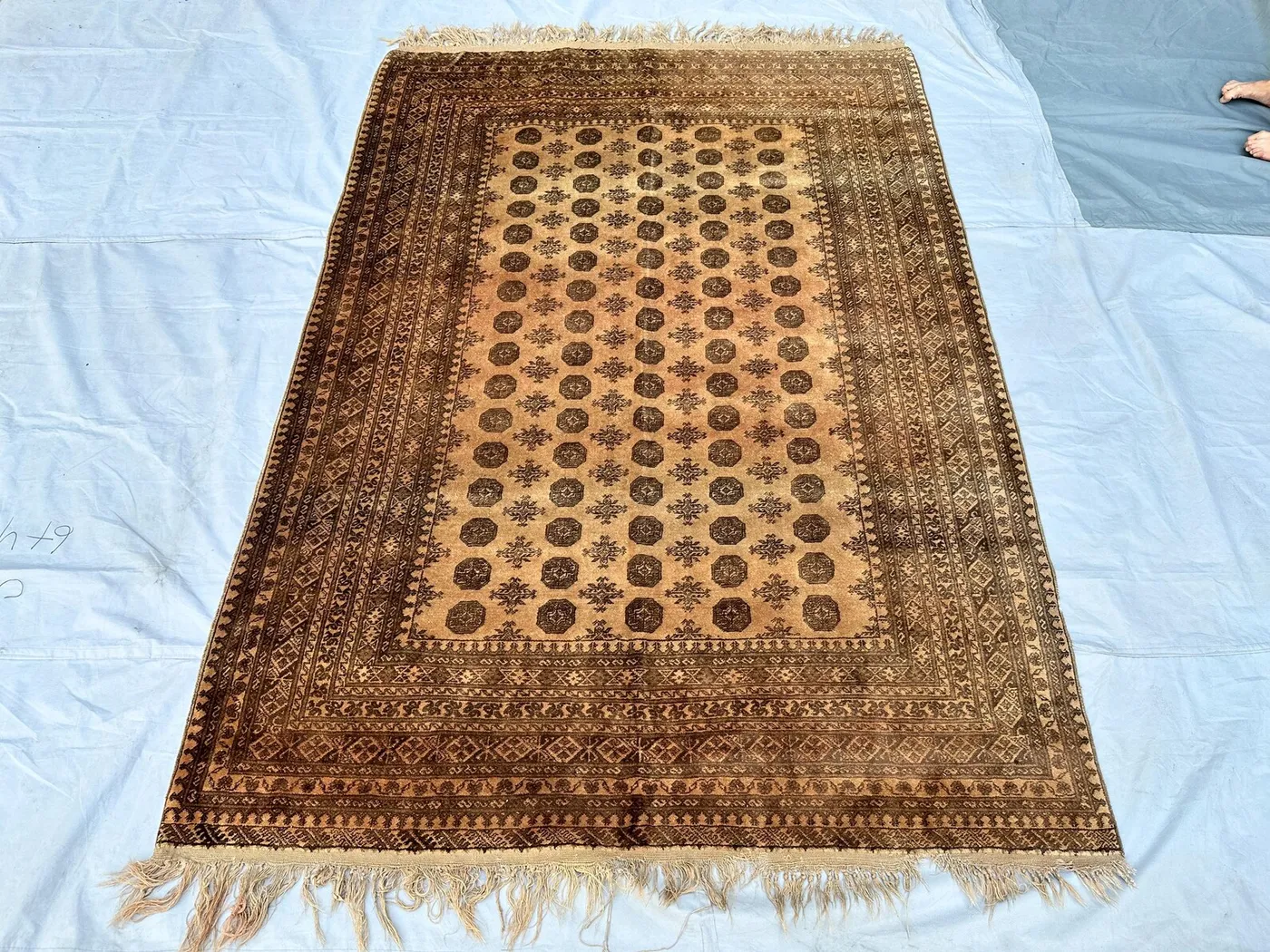 1960s Antique Bukhara Rug Hand Knotted Living Room Rug 7x9 Ft, Terracotta Medallion Carpet