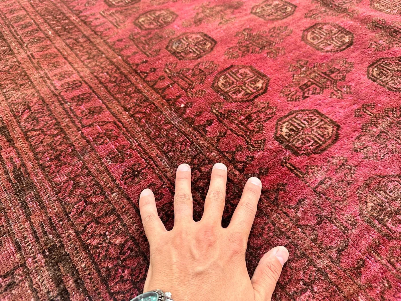 View 8