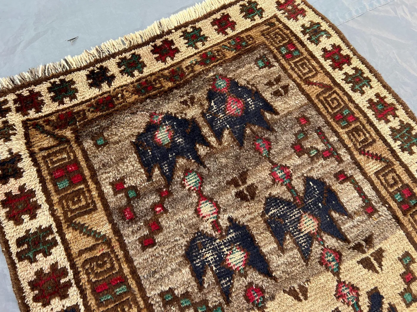 View 5