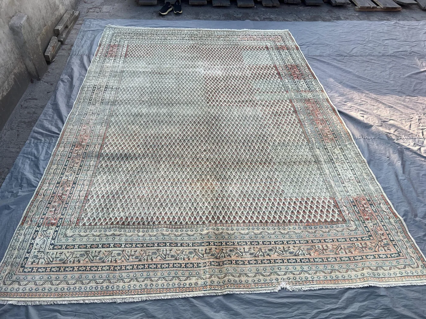 7'10x11'8 Vintage Afghan Wool Pile Rug Hand-Knotted All-Over Diamond Boteh Lattice Ivory Sage Green Terracotta Large Area Rug | Living Room